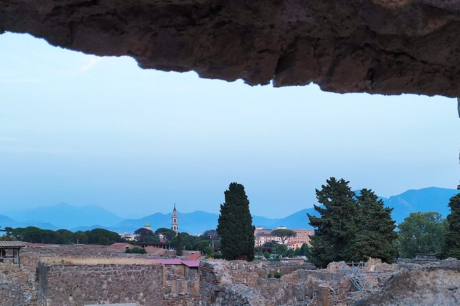 2 Hours Private Tour in Pompeii with Archaeologist - How the 2-hour format actually helps you in Pompeii