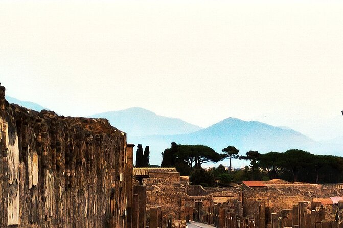 2 Hours Private Tour in Pompeii with Archaeologist - Palestra Grande gymnasium: Pompeii’s biggest Roman workout space