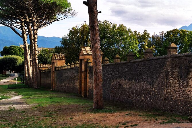 2 Hours Private Tour in Pompeii with Archaeologist - House of Venus in the Shell: frescoes you do not want to skim