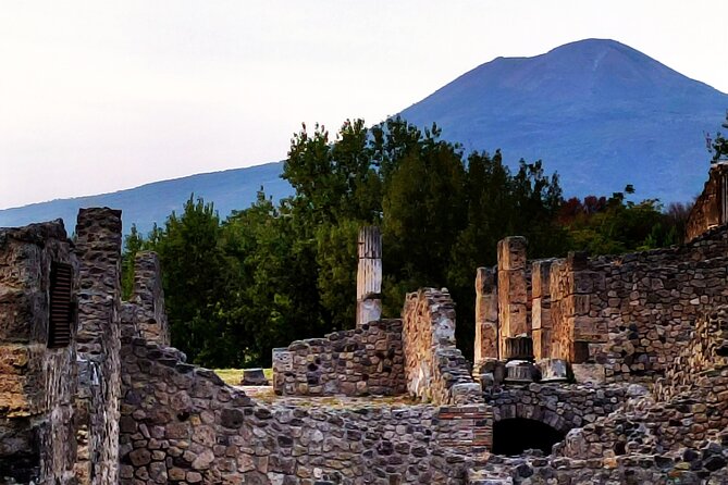 2 Hours Private Tour in Pompeii with Archaeologist - Orto dei Fuggiaschi: what the excavations revealed