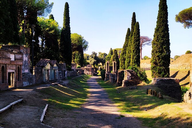 2 Hours Private Tour in Pompeii with Archaeologist - Meeting at Via Roma 101, and how to plan entry tickets