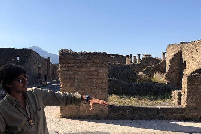 2 Hours Private Walking Tour in Pompeii with an Archaeologist - The Pompeii public highlights: Forum, theatres, thermal baths, and the Sacred Area