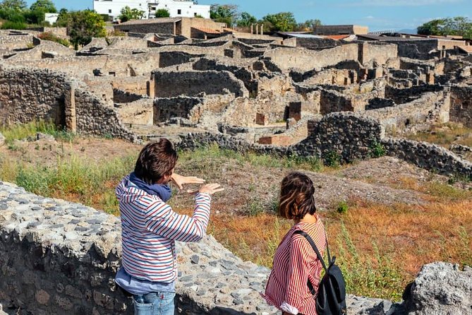 2 Hours Private Walking Tour in Pompeii with an Archaeologist - Tickets, entrance fees, and the real value of the group price