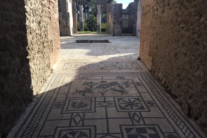 3-Hours Private Walking Tour in Pompeii with an Archaeologist - Pompeii makes more sense with an archaeologist holding the map