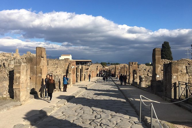 3-Hours Private Walking Tour in Pompeii with an Archaeologist - Who should book this private Pompeii archaeologist tour
