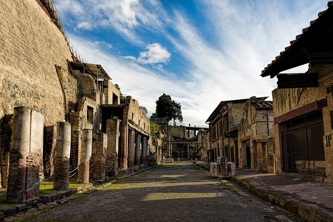 4 Hours Herculaneum Private Tour from Naples - Parco Acheologico di Ercolano: where the story starts (and what to budget for)