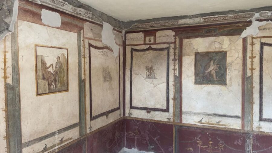 Amalfi Coast: Pompeii Ruins Guided Tour - Should You Book This Amalfi Coast to Pompeii Tour?