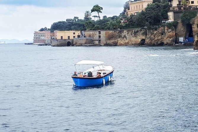 Argo Nautical Excursions - Tour of the Gulf of Naples with Snorkeling - Guides Valeria, Nico, Peppe, and Nicco, Plus Marine Life Notes