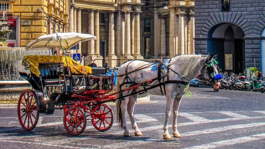 Best of Naples: Private Walking Tour with a Local - Value check: is $49 per person worth it?