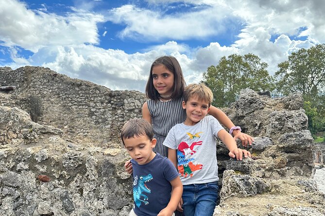 Best Pompeii Private Tour from Naples Port or Hotel Pick Up - Price and value: is $422.32 per person worth it