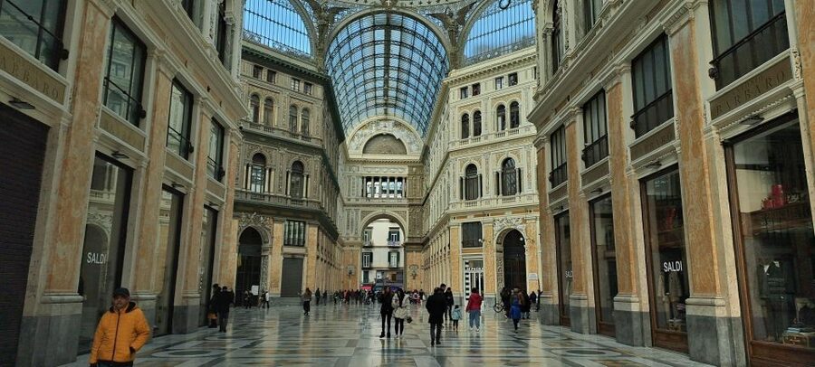 Bourbon Naples: Exclusive guide and Royal Palace pass - Naples in 2.5 hours with a private guide