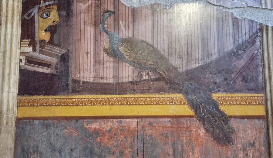 Campania: Pompei+Herculaneum+Vesuvius audio guide - Vesuvius: using geolocation where “where am I” matters
