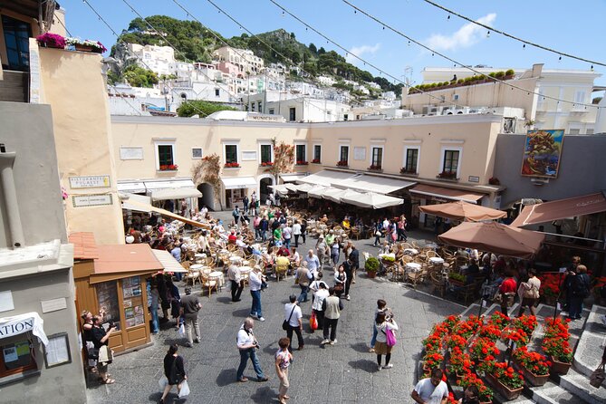 Capri, Anacapri & Blue Grotto: Small-Group Tour from Naples - Fast Ferry to Capri, Then Shuttle Bus up the Cliffside