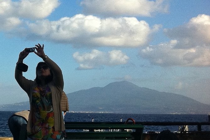 Capri, Sorrento and Pompeii Private Tour - Who this private day trip is best for