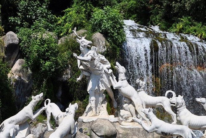 Caserta Royal Palace Entrance Ticket - Reggia di Caserta: Versailles Energy Without the Same Script