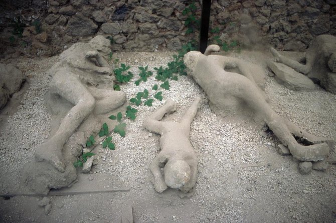 Daytrip from Naples port to Pompei, Sorrento & Positano - The “Hop-On Hop-Off” Piece: How to Use It Without Losing Time