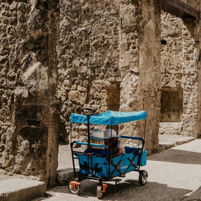 Discover Pompeii: Spanish Walking Tour of the Buried City - Price and what $41 buys you in practice