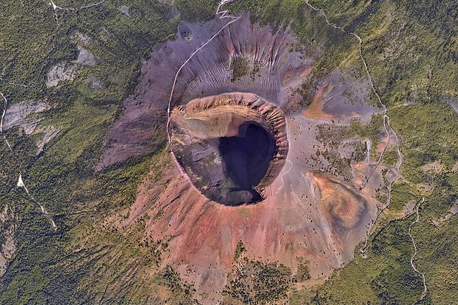 Discovering the Vesuvius - VIP tour / Small group - Getting to the crater: Vesuvius National Park and your included entrance