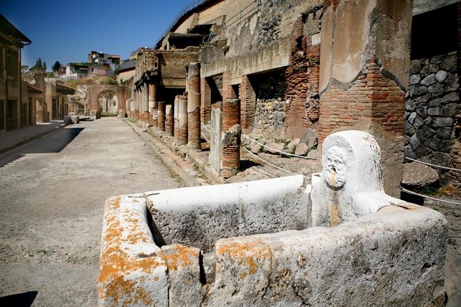 Easy Hercunaleum - Private tour (skip-the-line) - Why This Private Herculaneum Tour Is So Easy to Use