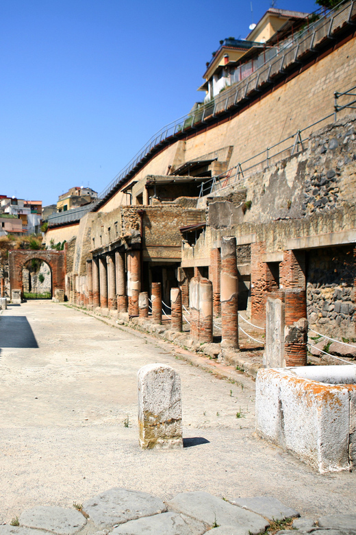 Ercolano: Herculaneum Entry Ticket with Optional Audio Guide - Your Ticket, the Real Scope, and How the Audio Add-On Plays Out