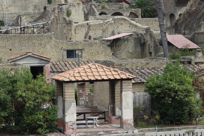 Excavations of Herculaneum. Tour guide and skip-the-line ticket - Herculaneum’s street-level story, not just another Roman ruin