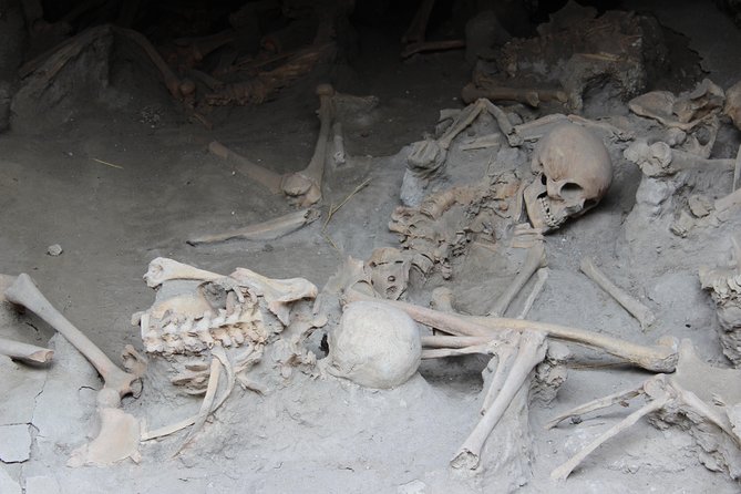 Excavations of Herculaneum. Tour guide and skip-the-line ticket - Pairing Herculaneum with Pompeii for the full picture