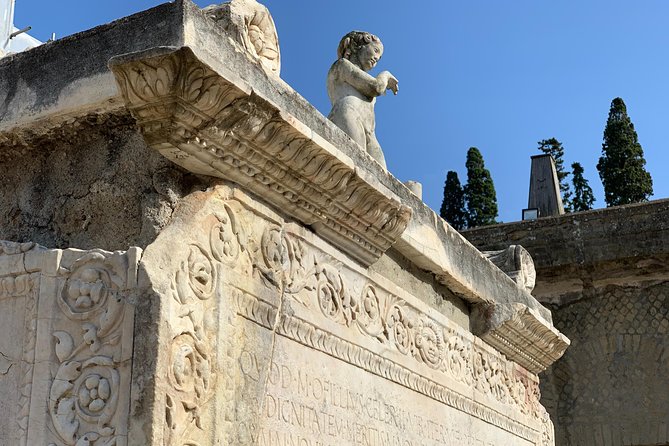 Excellence Private Herculaneum Guided Tour with an Archeologist - Price and Value: $294.55 Per Group Plus Site Admission