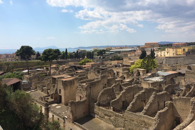 Excellence Private Herculaneum Guided Tour with an Archeologist - Starting at the Seaside Edge, Not the Middle of Nowhere