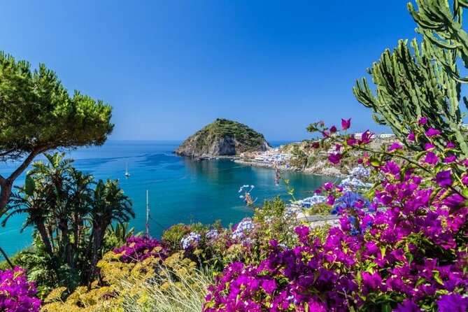 Exclusive Ischia & Procida Luxury Private Boat Cruise - Procida Island: pastel streets, Marina di Corricella, and secret swimming coves