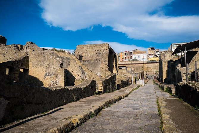 Exclusive Pompeii with Wine and Lunch on Vesuvius-Skip-the-line - Price and value: why $575.35 can make sense here