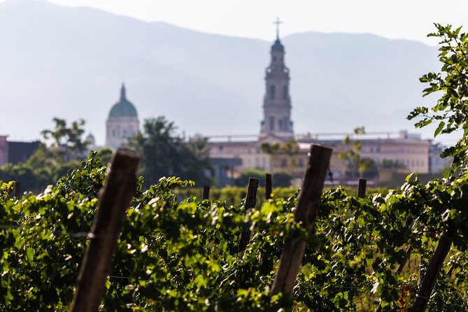 Explore Pompeii: Private Tour, Wine Tasting & Lunch - Who This Tour Fits Best (and Who Might Want Another Option)