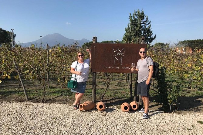 Explore Pompeii: Private Tour, Wine Tasting & Lunch - Should You Book This Pompeii Plus Wine Tour?