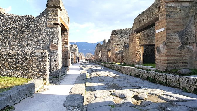 Fast Access Exclusive Private Ancient Pompeii Half Day Tour with Local Guide - Terme del Foro: Roman bath life, buried and intact