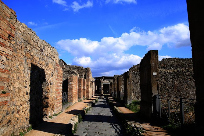 Fast Access Exclusive Private Ancient Pompeii Herculaneum & Oplontis Guided Tour - Stop: Casa del Menandro, the domus moment with frescoes and calidarium