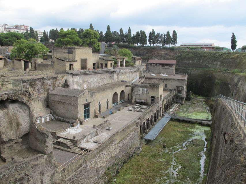 From Naples: 2-Hour Herculaneum Kid-Friendly Tour - Casa di Nettuno ed Anfitrite: A House That Tells a Story