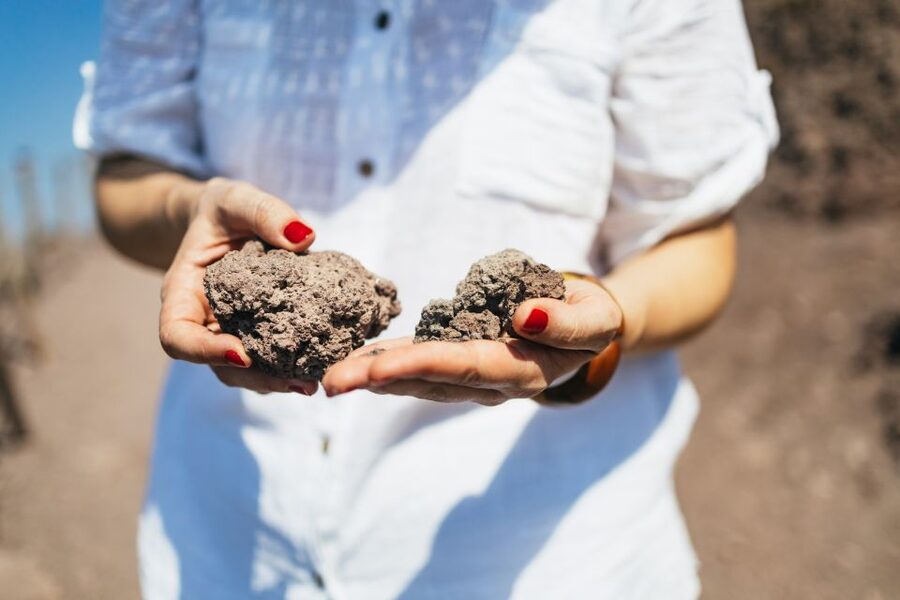 From Naples: All-Inclusive Mount Vesuvius Half-Day Tour - Who should book this Mount Vesuvius half-day tour