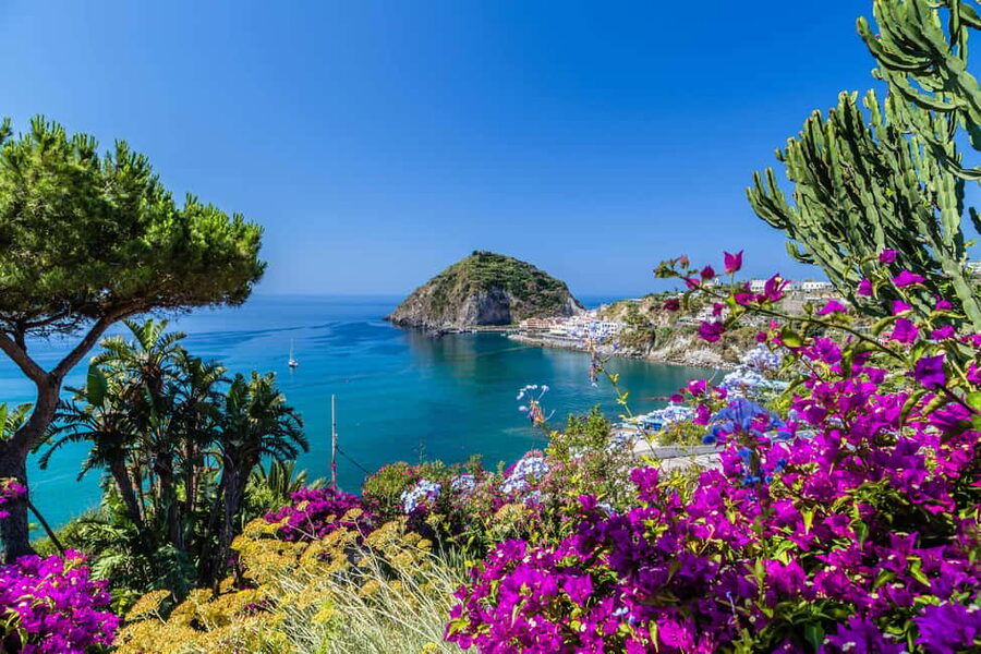 From Naples: Amalfi Coast Day Trip with Sorrento & Positano - Getting picked up in Naples: where and how the day starts