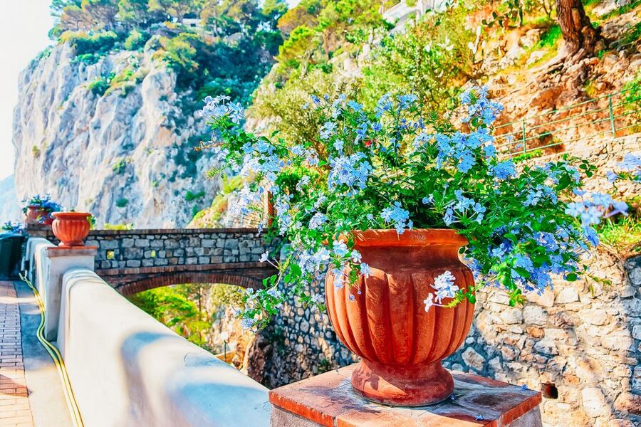 From Naples: Capri and Blue Grotto Day Tour - Fast Ferry to Marina Grande: The Best Way to Save a Day