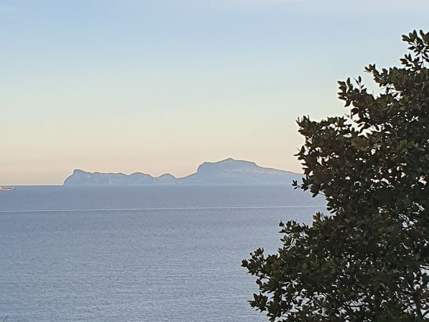From Naples: Capri Day Trip with Lunch - Naples to Capri by hydrofoil: fast crossing, real sea energy