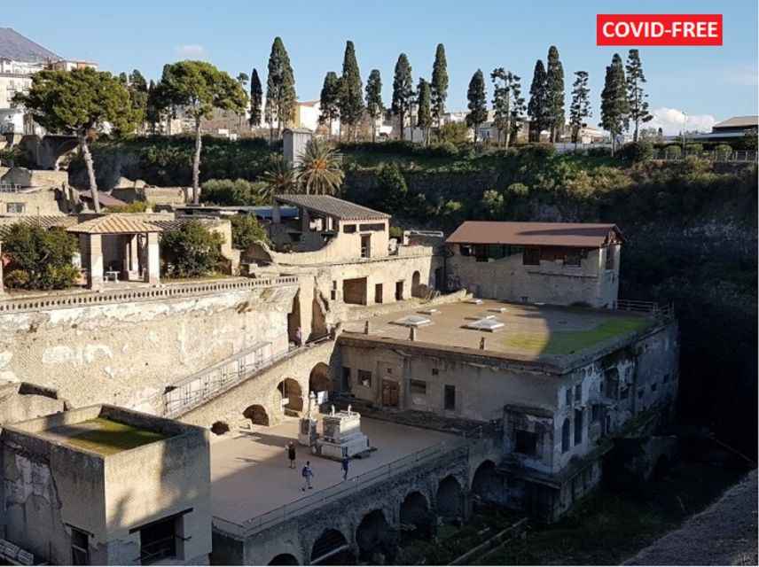 From Naples: Day Trip to Herculaneum with skip the line - The Naples Shuttle: When Convenience Helps (and When It Doesn’t)