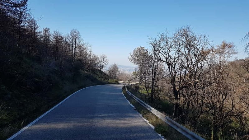 From Naples: Day Trip to Mount Vesuvius - Pickup, buses, and how to avoid the most common time-sink