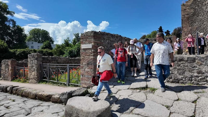 From Naples: Guided tour of Pompeii skip-the-line and round-trip train - Skip-the-line tickets: where they help, and where they might not
