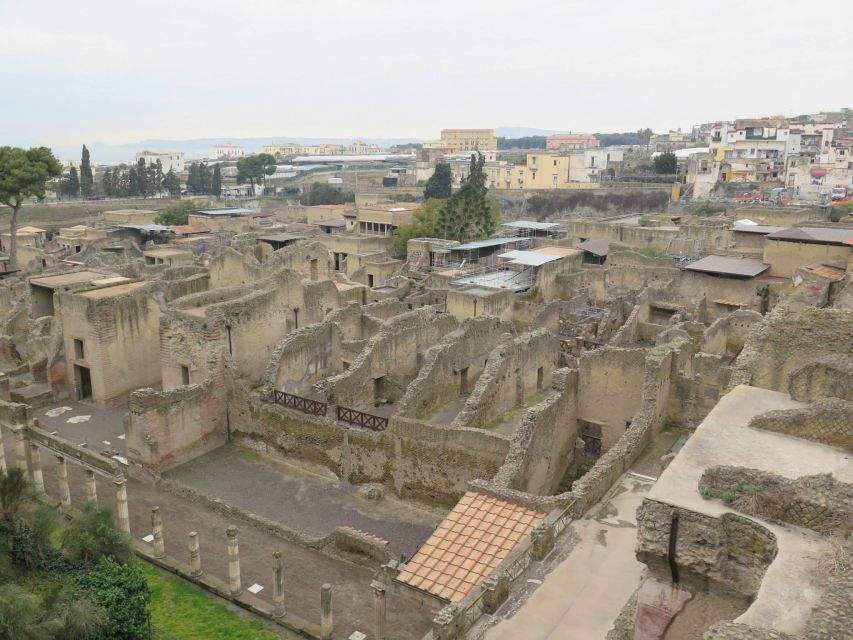 From Naples: Herculaneum, Mount Vesuvius & Pompeii Day Trip - Price and Logistics: What the Tour Covers, and What You Must Budget Extra