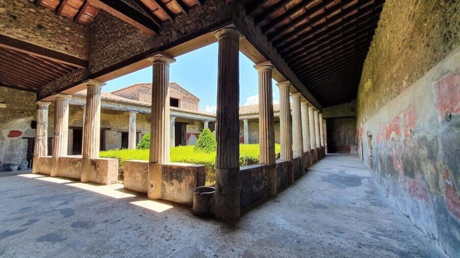 From Naples: Herculaneum, Mount Vesuvius & Pompeii Day Trip - The Human Touch: Drivers, Hosts, and the Smoothness of the Transfers