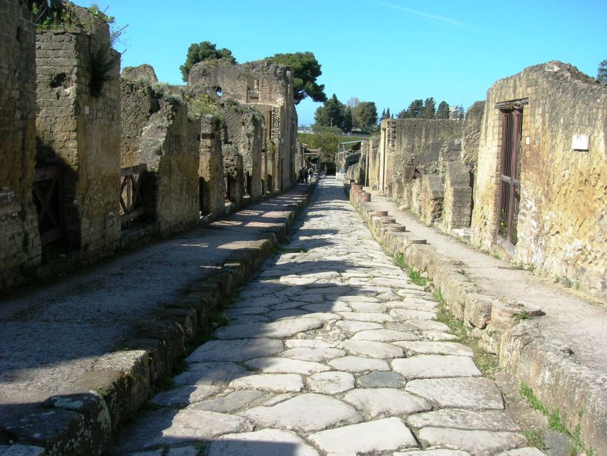 From Naples: Herculaneum Skip-the-Line Guided Tour - House of the Deer and the surviving luxury of daily life