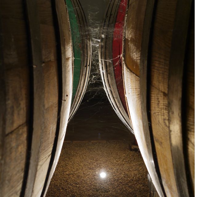 From Naples: Irpinia Wine Tour with 6 Tastings - Stop 1, Montemiletto and Tenuta Donna Elvira: innovation plus a real cellar vibe