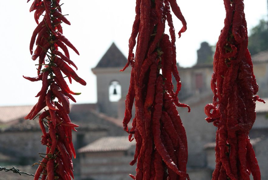 From Naples: Irpinia Wine Tour with 6 Tastings - Your day starts at Romeo Hotel, Naples, then heads into the hills