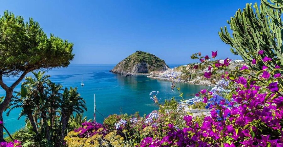 From Naples: Ischia Day Trip with Ferry Tickets and Lunch - Price and logistics: what $96.29 actually buys