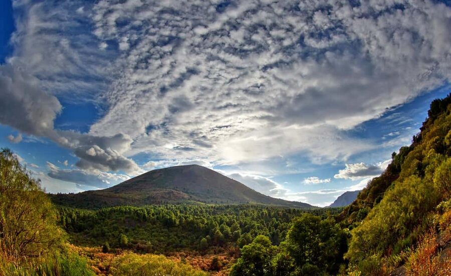 From Naples: Mount Vesuvius Half-Day Tour with Lunch - Naples pickup and the drive up: how the morning starts