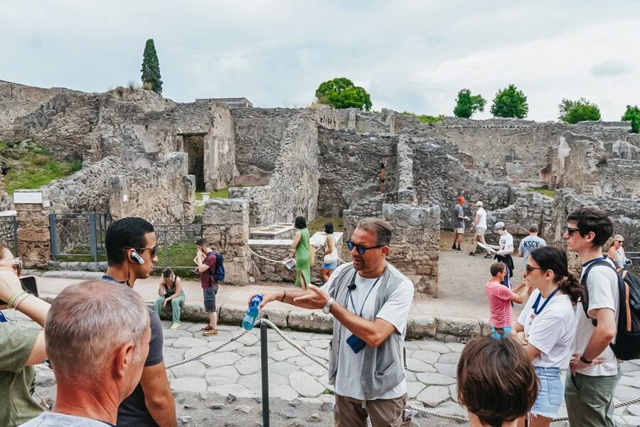 From Naples or Sorrento: Pompei Half-Day Tour - Price and Value for a $75 Half-Day Pompeii Tour